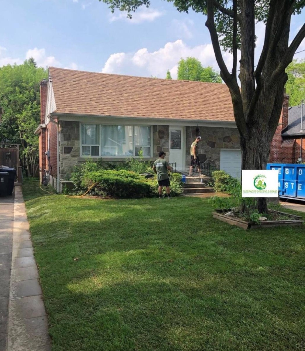 Alderwood team in branded green shirts working a Toronto front yard, company sign at the curb